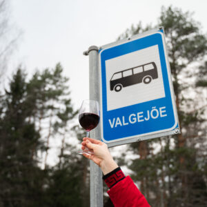 By bus to the Veinivilla
