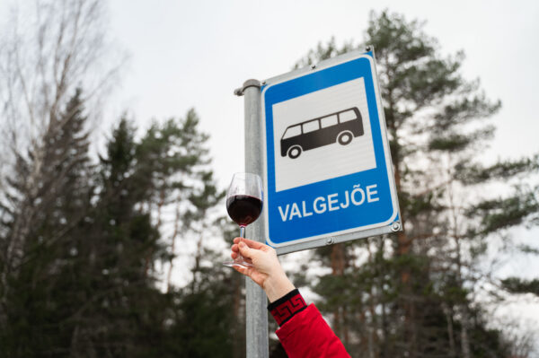 By bus to the Veinivilla